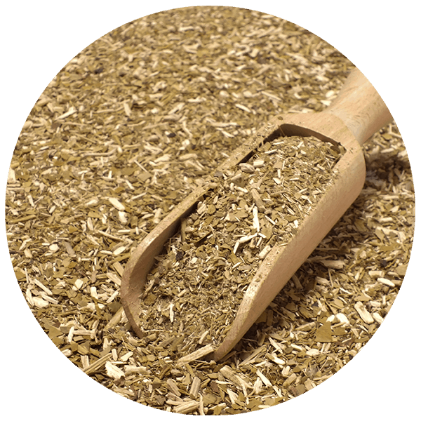 Yerba Mateista KIT LARGE bombilla