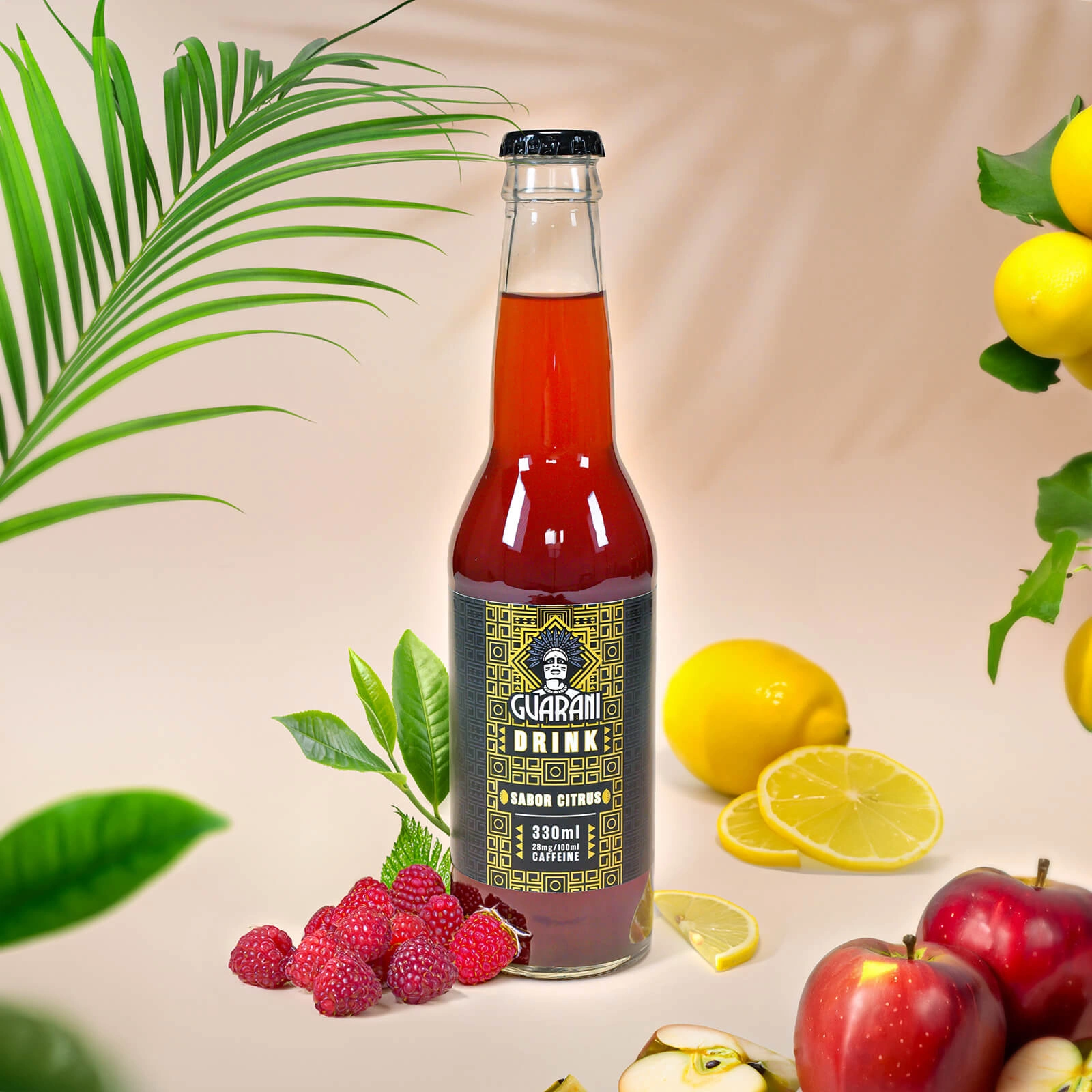 Guarani Drink Sabor Citrus