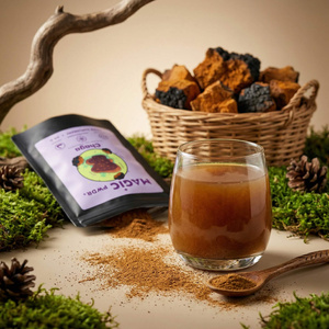 Magic Pwdr – Chaga – Schiefer Schillerporling 30 g