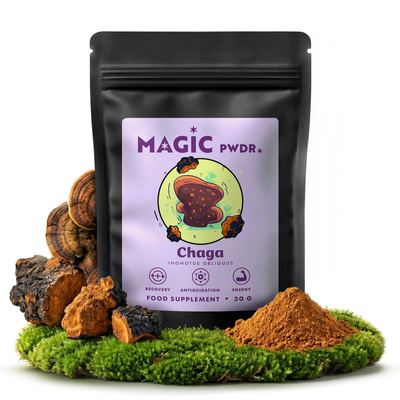 Magic Pwdr – Chaga – Schiefer Schillerporling 30 g