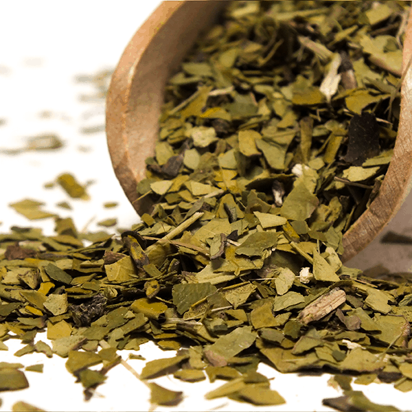 Verde Mate Green Organica 0,5 kg