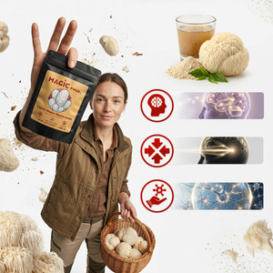 Magic Pwdr – Lion’s Mane – Igelstachelbart 100 g