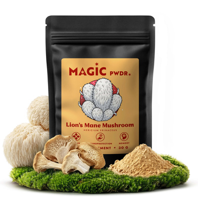 Magic Pwdr – Lion’s Mane – Igelstachelbart 30 g