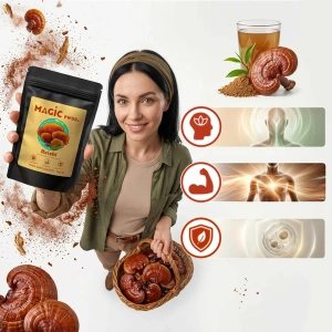 Magic Pwdr – Reishi – Glänzender Lackporling 100 g