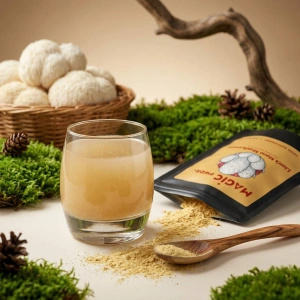 Magic Pwdr – Lion’s Mane – Igelstachelbart 50 g