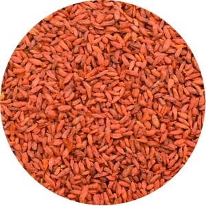 Vivarini - Getrocknete Goji-Beeren  1 kg