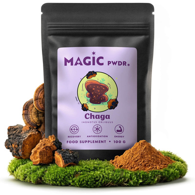 Magic Pwdr – Chaga – Schiefer Schillerporling 100 g