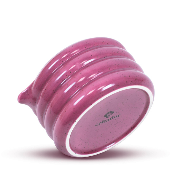 Set zur Zubereitung von Purple Matcha