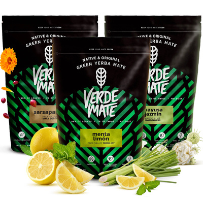 Trio Yerba Verde Mate auf START für Anfänger