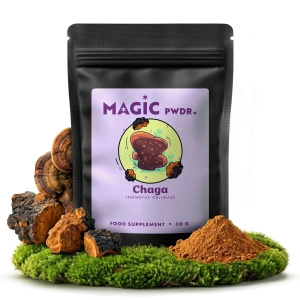 Magic Pwdr – Chaga – Schiefer Schillerporling 30 g