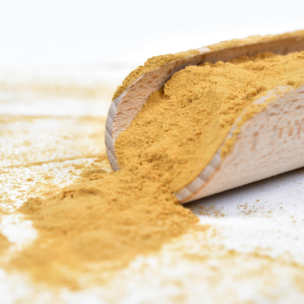 Magic Pwdr – Lion’s Mane – Igelstachelbart 30 g