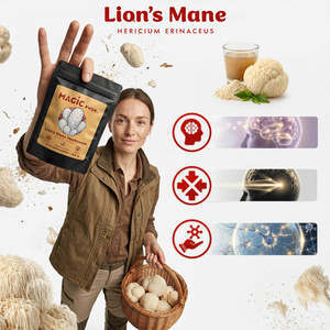 Magic Pwdr – Lion’s Mane – Igelstachelbart 100 g