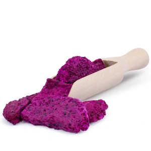 FiloLilo – Gefriergetrocknete Drachenfrucht (Scheiben) 20 g