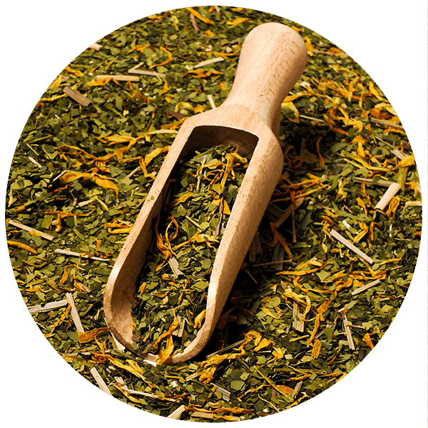 Set Yerba Mate Sarsaparilla 0,5kg