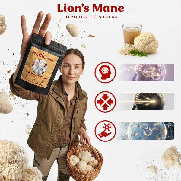 Magic Pwdr – Lion’s Mane – Igelstachelbart 100 g