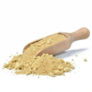 Vivarini – Ingwer (gemahlen) 0,5 kg
