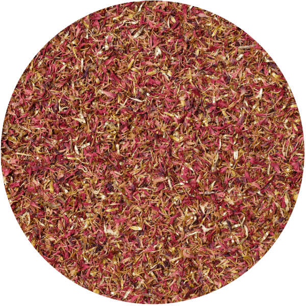 Mary Rose – Rot Kornblume 100 g