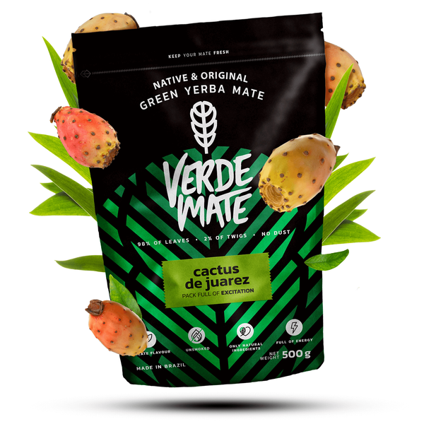 Yerba Mate Set Verde Mate Cactus de Juarez 500g