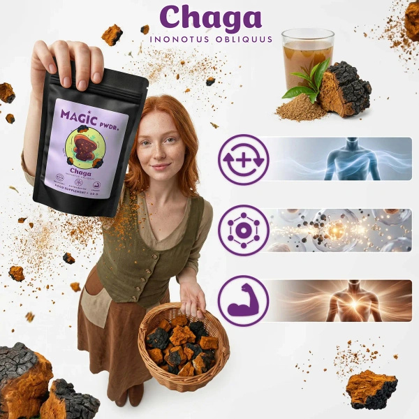 Magic Pwdr – Chaga – Schiefer Schillerporling 50 g