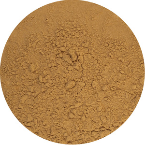 Magic Pwdr – Chaga – Schiefer Schillerporling 30 g