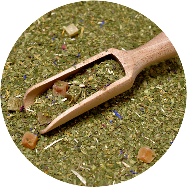 Mate Tee Set: Verde Mate + Rio Parana