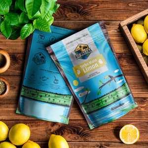 Trio Yerba Verde Mate auf START für Anfänger